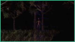 Footage from one of the tapes in REDACT.vhs, which features a strange figure standing amongst the trees in the dark. Footage from one of the tapes in REDACT.vhs, which features a strange figure standing amongst the trees in the dark.